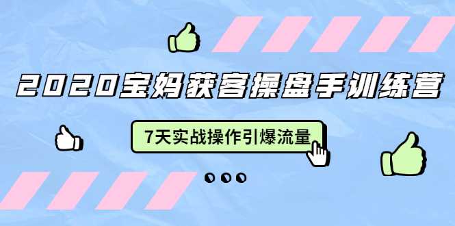 2020宝妈获客操盘手训练营：7天实战操作引爆 母婴、都市、购物宝妈流量 - 冒泡网-冒泡网