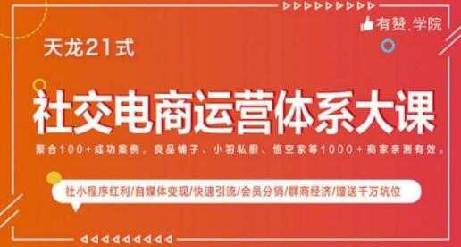 图片[1]-社交电商运营课程，实体新零售拉新留存转化即学即用 - 冒泡网-冒泡网