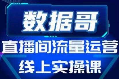 数据哥《直播间流量运营线上实操培训课程》不能错过的一套系统课教程 - 冒泡网-冒泡网