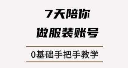 锤石传媒张智诚7天陪你做服装账号，0基础手把手教学课程视频 - 冒泡网-冒泡网