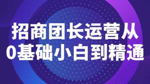 《招商团长运营》从0基础小白到精通 - 冒泡网-冒泡网