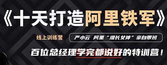 严小云销售特训营《十天快速打造阿里铁军》百位总经理学完都说好 - 冒泡网-冒泡网