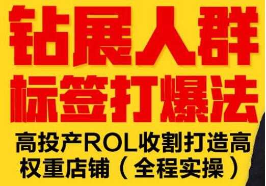 逐鹿《淘宝钻展人群标签打爆法》高投产ROL收割打造高权重店铺(全程实操) - 冒泡网-冒泡网