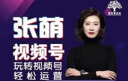 张萌 视频号实战训练营培训课程，轻松玩转视频号运营 - 冒泡网-冒泡网