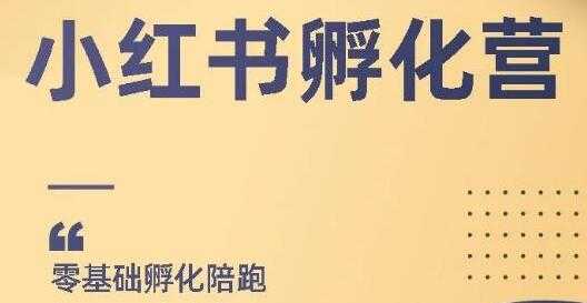 图片[1]-小红书撸金项目，教你如何快速起号获得曝光，做到月躺赚在3000+-冒泡网