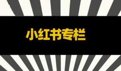 图片[1]-品牌医生《小红书全链营销干货》5个起盘案例，营销策略规划，避坑指南 - 冒泡网-冒泡网