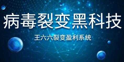 王六六裂变盈利系统课程第六课，病毒裂变黑科技 - 冒泡网-冒泡网