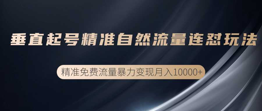 垂直起号精准自然流量连爆玩法，精准引流暴力变现月入10000+ - 冒泡网-冒泡网