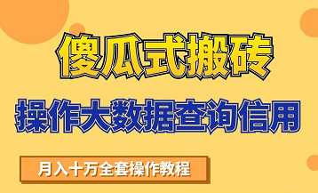 搬砖操作大数据查询信用项目赚钱教程，祝你快速月入6万 - 冒泡网-冒泡网