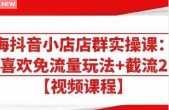 大海抖音小店店群实操课：猜你喜欢免流量玩法+截流 2.0 - 冒泡网-冒泡网