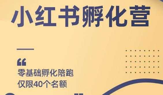 勇哥小红书撸金快速起量项目：教你如何快速起号获得曝光，做到月躺赚在 3000+ - 冒泡网-冒泡网