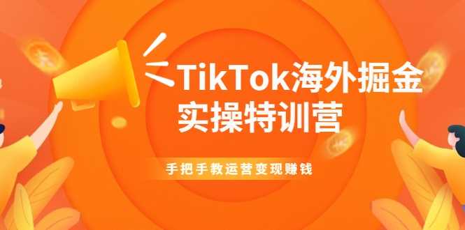 图片[1]-TikTok海外掘金实操特训营：手把手教运营变现赚钱 - 冒泡网-冒泡网