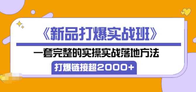 凌童《新品打爆实战班》,一套完整的实操实战落地方法，打爆链接超2000+（28节课) - 冒泡网-冒泡网