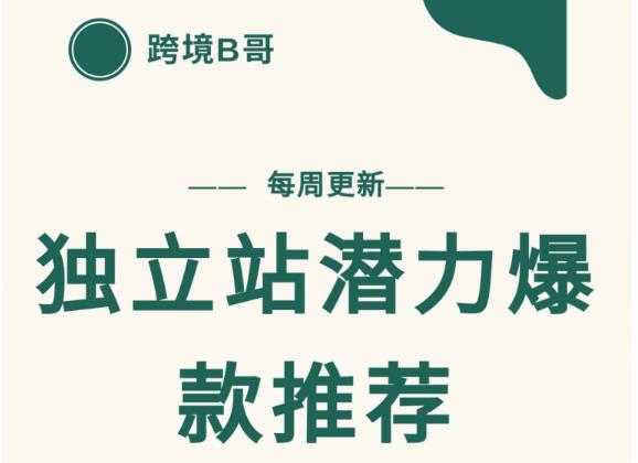 【跨境B哥】独立站潜力爆款选品推荐，测款出单率高达百分之80 - 冒泡网-冒泡网