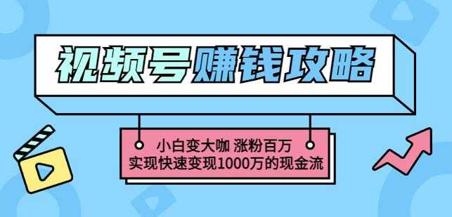 玩转微信视频号赚钱：小白变大咖涨粉百万实现快速变现1000万的现金流 - 冒泡网-冒泡网