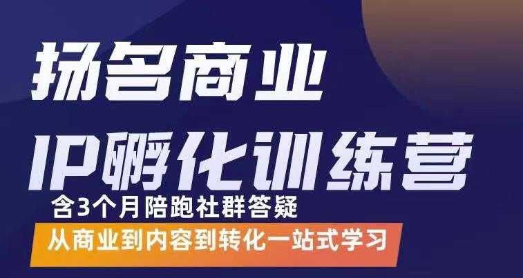 杨名商业IP孵化训练营，从商业到内容到转化一站式学 价值5980元 - 冒泡网-冒泡网