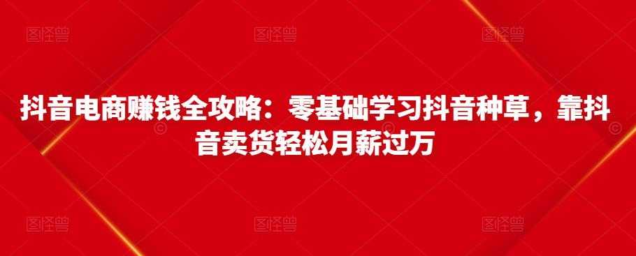 抖音电商赚钱全攻略：零基础学习抖音种草，靠抖音卖货轻松月薪过万 - 冒泡网-冒泡网