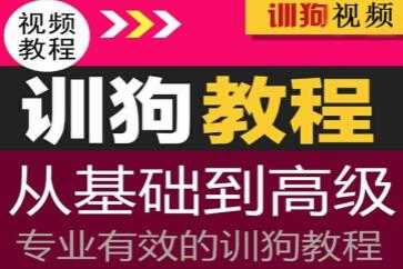 图片[1]-专业训狗视频教程，从初级基础到高级训狗教程视频 - 冒泡网-冒泡网