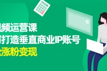 短视频运营课，如何打造垂直商业IP账号，轻松涨粉变现 - 冒泡网-冒泡网