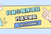 抖音小程序项目，方法交给你，按照方法去做就能赚钱了 - 冒泡网-冒泡网