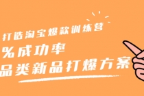 打造淘宝爆款训练营，90%成功率：全品类新品打爆方案 - 冒泡网-冒泡网