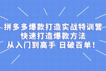 拼多多爆款打造实战特训营：快速打造爆款方法，从入门到高手 日破百单 - 冒泡网-冒泡网