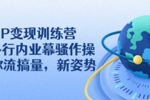 IP变现训练营：N多行内业幕骚作操，教你流搞量，新姿势！ - 冒泡网-冒泡网