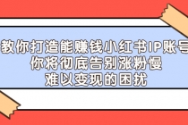 教你打造能赚钱小红书IP账号：你将彻底告别涨粉慢，难以变现的困扰 - 冒泡网-冒泡网