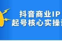 抖音商业IP起号核心实操课，带你玩转算法，流量，内容，架构，变现 - 冒泡网-冒泡网