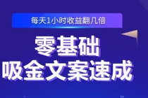 零基础吸金文案速成：小白也可以写出爆款文章，每天一小时收益翻几倍 - 冒泡网-冒泡网