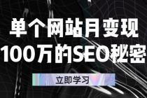 单个网站月变现100万的SEO秘密：如何百分百做出赚钱站点 - 冒泡网-冒泡网