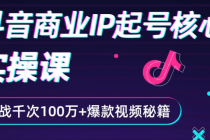 抖音爆款商业IP起号核心实操课：带你玩转算法，流量，内容，架构，变现 - 冒泡网-冒泡网