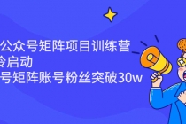 蓝海公众号矩阵项目训练营，0粉冷启动，公众号矩阵账号粉丝突破30w - 冒泡网-冒泡网