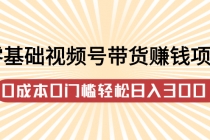 零基础视频号带货赚钱项目，0成本0门槛轻松日入300+【视频教程】 - 冒泡网-冒泡网