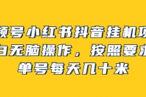 视频号小红书抖音挂机项目，小白无脑操作，按照要求来，单号每天几十米 - 冒泡网-冒泡网