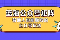 蓝海公众号矩阵：普通人也能赚钱的公众号玩法，月入过N万 - 冒泡网-冒泡网