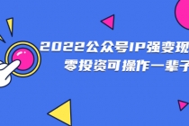 2022公众号IP强变现项目，零投资可操作一辈子 - 冒泡网-冒泡网