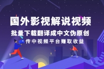 国外影视解说视频，批量下载翻译成中文伪原创，传中视频平台赚取收益 - 冒泡网-冒泡网