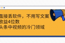 直接丢软件，不用写文案，收益4位数头条中视频的冷门领域 - 冒泡网-冒泡网