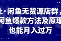 闲鱼无货源店群，掌握闲鱼爆款方法快速出单，轻松月入10000+ - 冒泡网-冒泡网