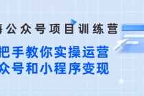 蓝海公众号项目训练营，手把手教你实操运营公众号和小程序变现 - 冒泡网-冒泡网