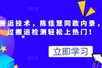 最新搬运技术视频替换，陈佳慧同款内录，测试最高跑了2亿 - 冒泡网-冒泡网