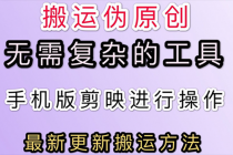 5月刚出来的最新：抖音+快手搬运技术，无需复杂工具，纯小白可操作 - 冒泡网-冒泡网