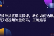 短视频带货底层实操课，教你如何选爆品、了解获短视频流量密码，正确起号 - 冒泡网-冒泡网