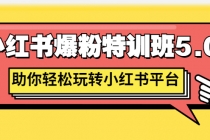 小红书爆粉特训班5.0，助你轻松玩转小红书平台价值1380元 - 冒泡网-冒泡网