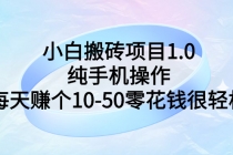 小白搬砖项目1.0，纯手机操作，每天赚个10-50零花钱很轻松 - 冒泡网-冒泡网