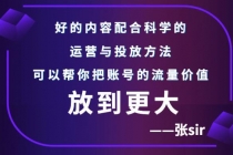 张sir账号流量增长课，告别海王流量，让你的流量更精准 - 冒泡网-冒泡网