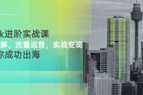 TikTok进阶实战课：账号详解，流量运营，实战变现，助力你成功出海 - 冒泡网-冒泡网