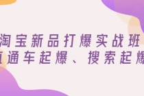 淘宝新品打爆实战班，直通车起爆、搜索起爆 - 冒泡网-冒泡网