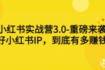 小红书实战营3.0-重磅来袭：做好小红书IP，到底有多赚钱？ - 冒泡网-冒泡网